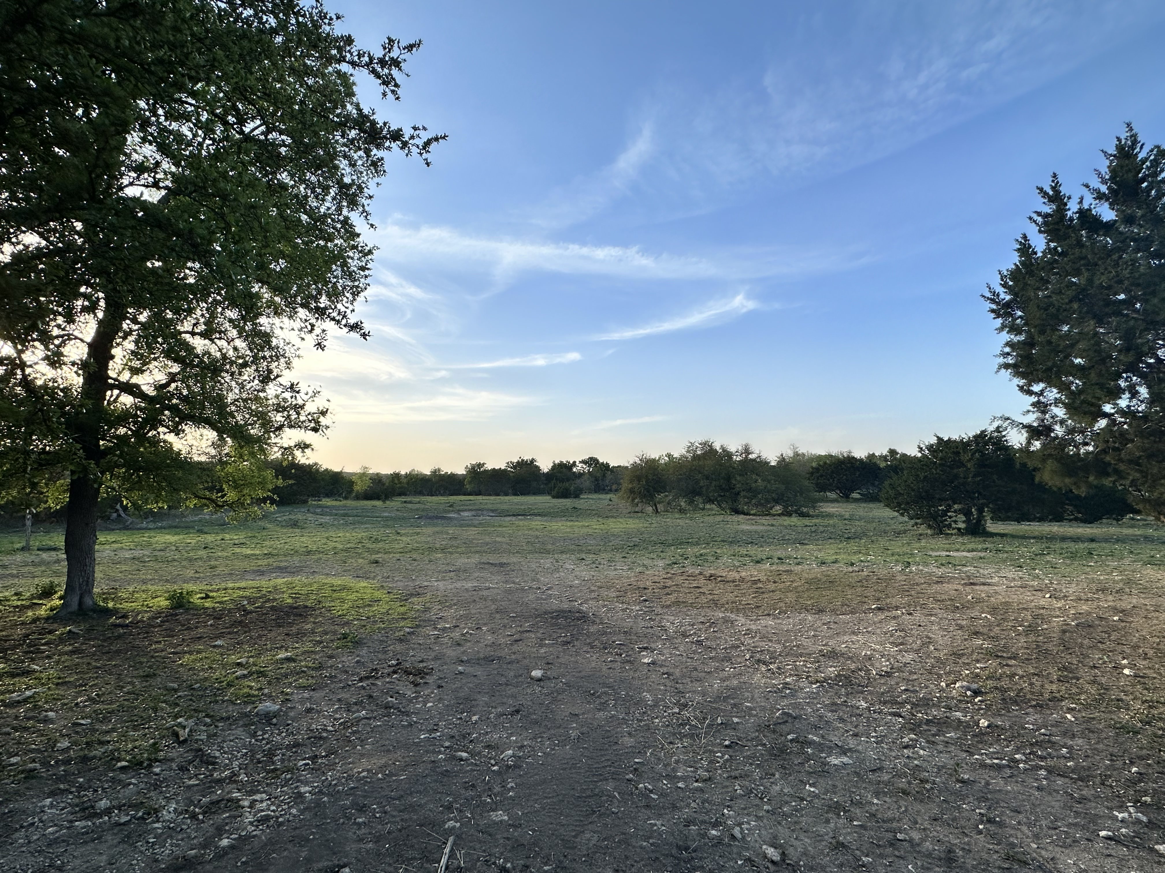 Image of 5 acres of land for turn out